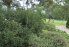 Willow Vale NSWresidential-landscaping-35.jpg; ?>