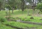 Willow Vale NSWresidential-landscaping-39.jpg; ?>