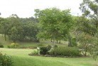Willow Vale NSWresidential-landscaping-40.jpg; ?>